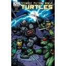 TEENAGE MUTANT NINJA TURTLES 44. COVER B. TMNT. IDW PUBLISHING.