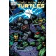 TEENAGE MUTANT NINJA TURTLES 44. COVER B. TMNT. IDW PUBLISHING.