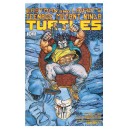 TEENAGE MUTANT NINJA TURTLES COLOR CLASSICS 3-1. TMNT. IDW PUBLISHING.