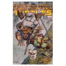 TEENAGE MUTANT NINJA TURTLES COLOR CLASSICS 3-2. TMNT. IDW PUBLISHING.