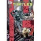 TEENAGE MUTANT NINJA TURTLES 45. COVER A. TMNT. IDW PUBLISHING.