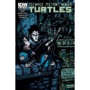 TEENAGE MUTANT NINJA TURTLES 45. COVER B. TMNT. IDW PUBLISHING.