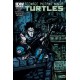 TEENAGE MUTANT NINJA TURTLES 45. COVER B. TMNT. IDW PUBLISHING.