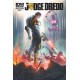 JUDGE DREDD 29. SUBSCRIPTION COVER. IDW PUBLISHING.