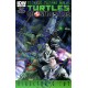 TEENAGE MUTANT NINJA TURTLES GHOSTBUSTERS. DIRECTOR'S CUT.  IDW PUBLISHING.