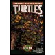 TEENAGE MUTANT NINJA TURTLES COLOR CLASSICS 3-3. TMNT. IDW PUBLISHING.