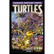 TEENAGE MUTANT NINJA TURTLES COLOR CLASSICS 3-5. TMNT. IDW PUBLISHING.