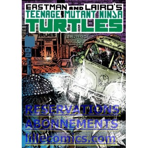 TEENAGE MUTANT NINJA TURTLES COLOR CLASSICS 3. TMNT.  