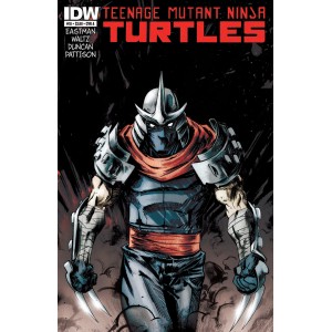 TEENAGE MUTANT NINJA TURTLES 10. COVER A. TMNT.